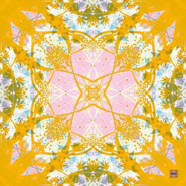 Foulard Bazaroïde